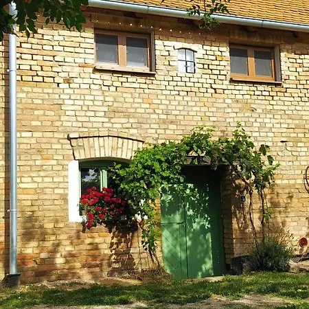 Pujcovna A Pod Palavou
