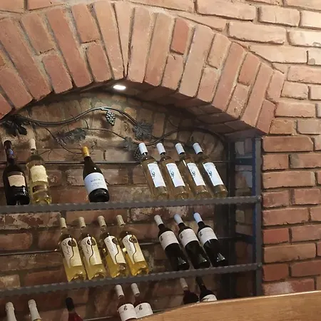 Pujcovna A Pod Palavou Homestay szállás *