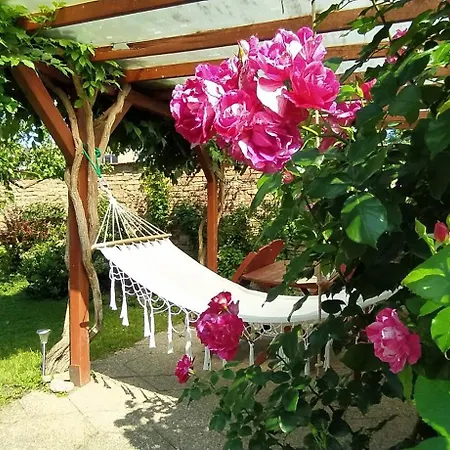 Alloggio in famiglia Pujcovna A Pod Palavou *