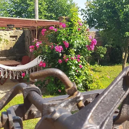 Pujcovna A Pod Palavou Alloggio in famiglia Šakvice
